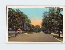 Postcard Magnolia Avenue Arcadia Florida USA North America picture