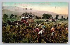 Hugh D Corrough I.H.C. Tractors Engines Stockton California Posted 1910 Postcard picture