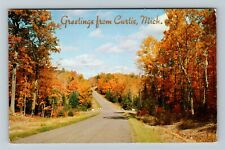 Curtis MI-Michigan, General Greetings, Autumn Foliage, Vintage Postcard picture