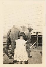 1930s vintage PHOTO little girl and CAMEL both with their backs to the CAMERA picture