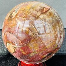Natural Wood Fossil Decoration Polished Wood Grain Fossil Decor Crystal 5.21LB picture