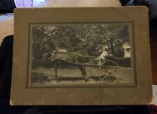 Antique Cabinet Card Photo Cute ID'd Young Girl in Horse Carriage/Wagon 4