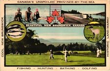 Vintage Postcard - Un-Posted Beautiful New Brunswick Historic CANADA #9168 picture