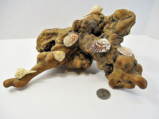 Vtg BURL WOOD Driftwood w Shells Fish Decoration 2 lbs Scuplture Yard Art UNIQUE picture