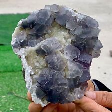 2.01LB Rare transparent purple cubic fluorite mineral crystal sample picture