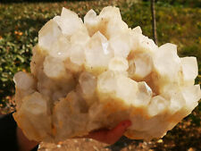 7.2LB Natural White Quartz Crystal Cluster Mineral Specimen picture