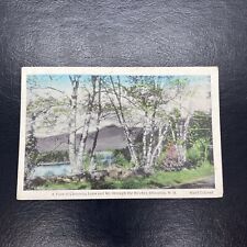 1936 A View Chocorua Lake Mt. Through Birches Chocorua NH Handcolored Postcard picture