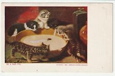 Vintage Postcard Cats Watch Mouse 