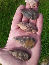 5 Authentic Ancient Arrowhead Native American  pre 1600 N MS Color  Artifact  picture