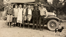1920s-1930s Women Ladies Men Posing Dog Car Automobile Original Old Photo P11w17 picture