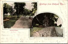 Greetings from Oshkosh North Park Wisconsin WI POSTCARD   picture