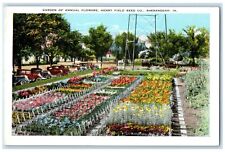 c1920 Garden Annual Flowers Henry Field Seed Co. Flower Shenandoah Iowa Postcard picture
