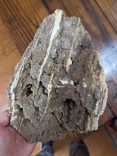 Huge 13.8lb Large Petrified Wood W Crystal Druzy Clio Alabama AL Brilliant picture