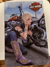 2014 Harley-Davidson HD Finishing Touch Embossed Tin Sign (10.5x16.5) Man Cave picture