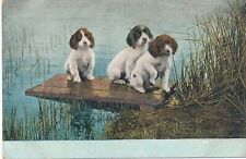 Three Dogs Near The Water Postcard picture