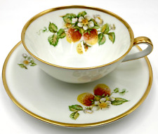 WONDERFUL HUTSCHENREUTHER FRUIT CUP & SAUCER SET, STRAWBERRIES, EXCELLENT COND picture