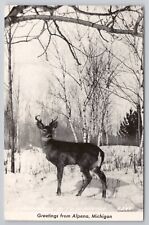 1930-50 Postcard Rppc Greetings From Alpena Michigan Real Photo Deer picture