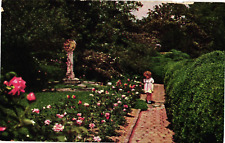 Washington Cathedral Bishop's Garden Washington DC Divided Postcard c1915 picture