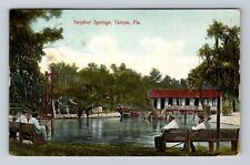 Tampa FL-Florida, Scenic View Sulphur Springs, Antique Vintage Postcard picture