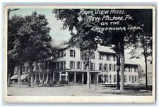 c1920's Park View Hotel View Restaurant Dirt Road Trees New Milford PA Postcard picture