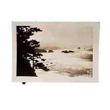 Vtg B&W Original Photo 1940s Found Ocean Side View Beach Trees Rocks Snapshot picture