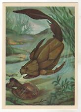 1983 Placoderm Armored fish PREHISTORIC ANIMALS PALEONTOLOGY RUSSIA POSTCARD Old picture