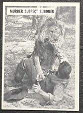 1967 PHILADELPHIA DAKTARI TRADING CARD #37 NM picture