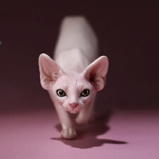 MR.Z 1/6th Canadian Hairless Cat 001 Sphynx Animal Model Cute Resin GK New Stock picture