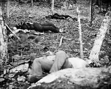 Confederate Dead Soldiers Little Round Top Gettysburg 8x10 Civil War Photo 1863 picture