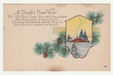 A Bright New Year Snow Covered Cabin Pine Needles & Cones w/ Poem UNP & Vintage picture