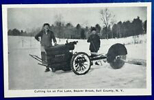 Cutting Ice on Fox Lake, Beaver Brook, Sull County New York Vintage Postcard NY picture