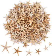 100 Pcs Small Starfish Star Sea Shell Beach for Craft 0.4