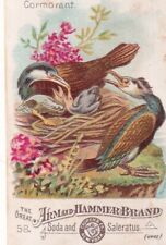 1800's Victorian Card -Arm & Hammer Beautiful Birds #58 Common Cormorant -#B2 picture