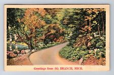 South Branch MI-Michigan, Scenic Greetings, Antique, Vintage c1940 Postcard picture
