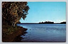 Look Out Spot Greetings Stevens Point Wisconsin Vintage Unposted Postcard picture