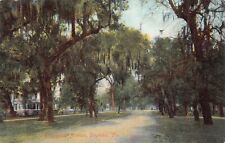FL~FLORIDA~DAYTONA BEACH~RIDGEWOOD AVENUE~C.1905 picture