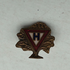 Unknown Vintage Antique H Inside Triangle Tree Symbol Lapel Pin YMCA? Unsure F9 picture