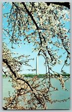 Postcard D.C. Washington Monument and Cherry Blossoms Washington D.C. picture