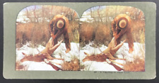 c1900s TW Ingersoll Stereograph #487 A Yearling in Hard Luck Deer Hunting picture