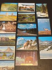 Vintage Glacier National Park, Montana & Yellowstone Postcards ~ Lot of 14 picture