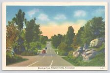 Linen~Highway Scene By Forest Naugatuck Connecticut~c1910 Postcard picture