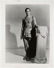 Marlon Brando 1953 Original Photo 8x10 Greco Roman Gay Beefcake Handsome 10384 picture