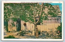 Postcard CA Catalina Island Chicken Johnny and His Home c1920s A10 picture