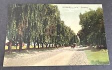 Postcard:  Dirt Road Tree Lined Driveway Scene Horse Buggy~ Roswell, New Mexico picture