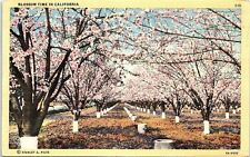 1940s CALIFORNIA BLOSSOM TIME IN CALIFORNIA BEAUTIFUL LINEN POSTCARD 42-247 picture