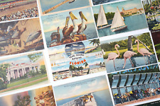 FLORIDA Linen Postcard LOT 25 Views Animals Oranges Flowers Old FL Cards picture