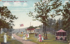 Postcard Picnic Grounds Mauch Chunk PA  picture