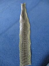 1 rattlesnake skin pieces Snake skin scraps pen blanks small wrap education L3 picture