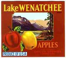 LAKE WENATCHEE brand Vintage Washington Apple Crate Label original picture