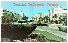 Postcard Chrome Tropical Hollywood, FL Diplomat Hotel Street Scene picture